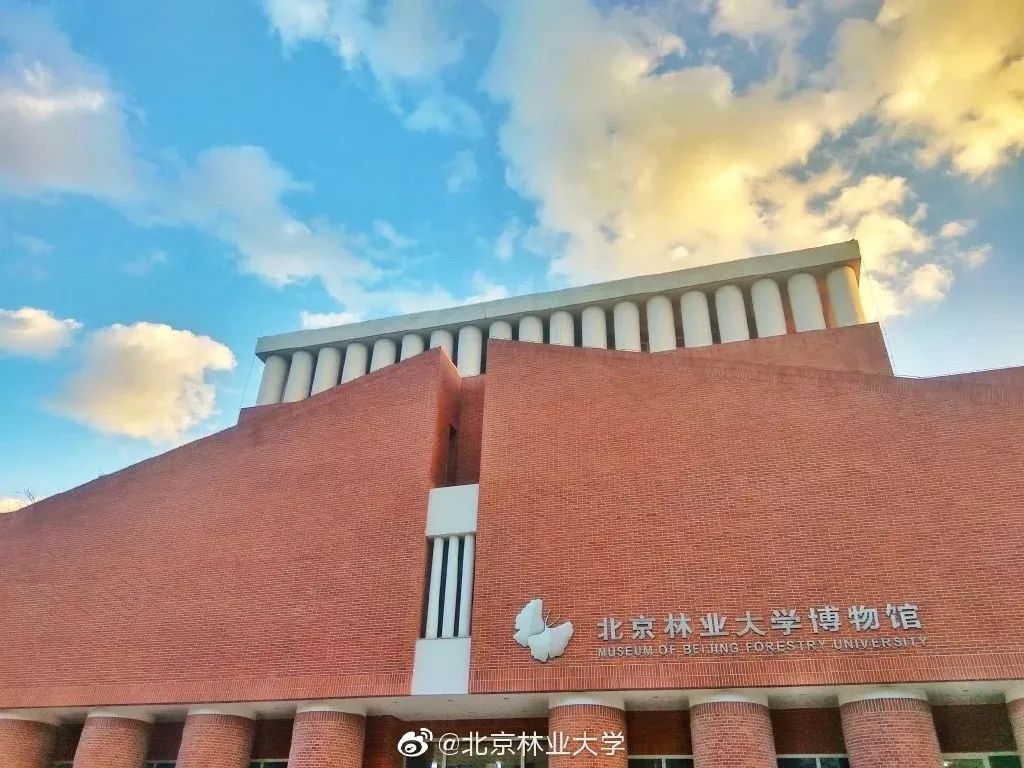 北京林业大学几年制