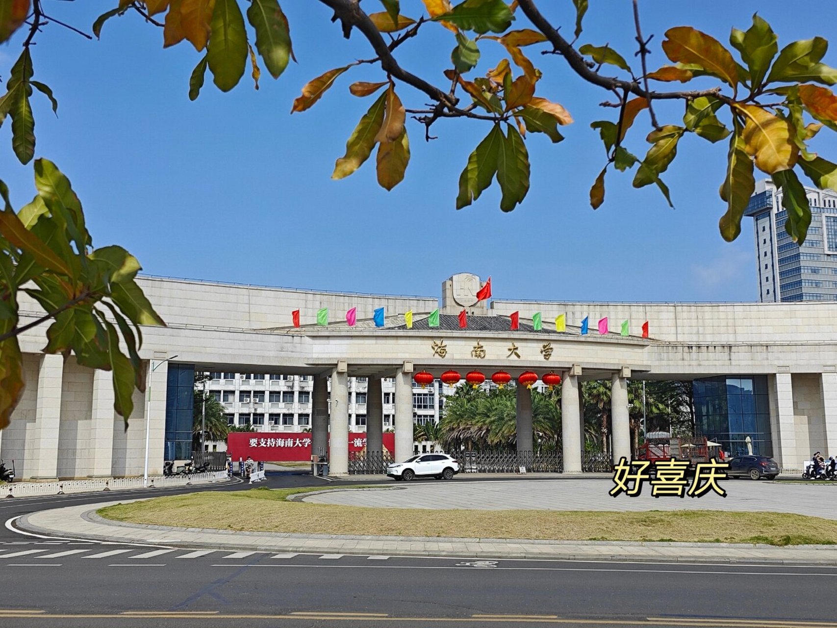 海南大学官网