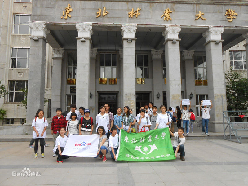 东北林业大学继续教育学院毕业证