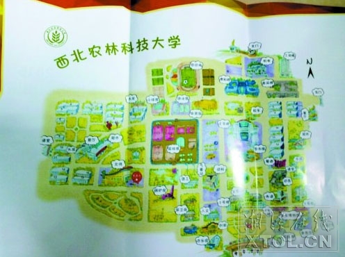 西北农林科技大学毕业证书