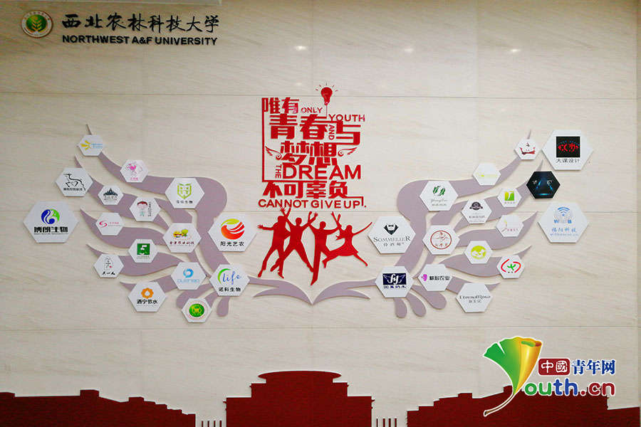 西北农林大学毕业证范本