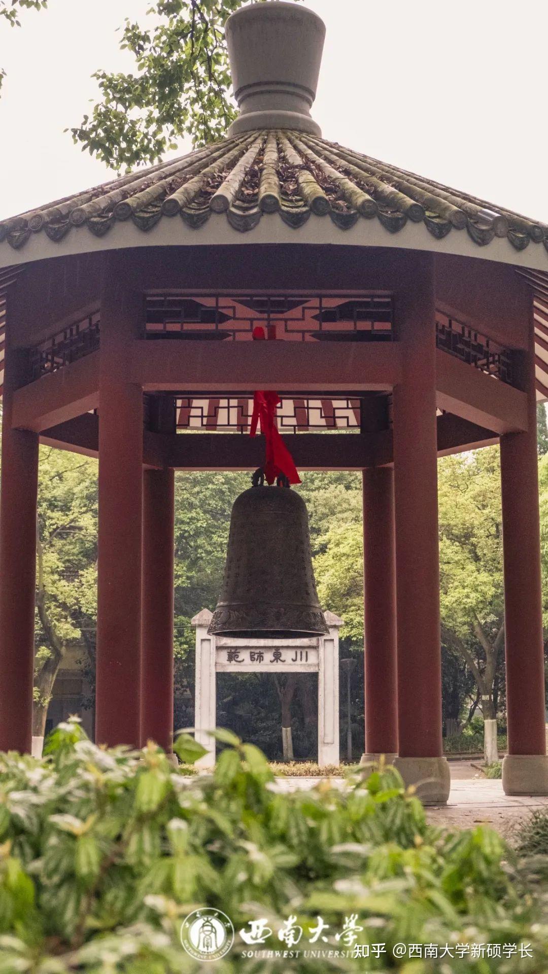 西南大学录取分数线2024