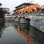 南京农业大学毕业证模板