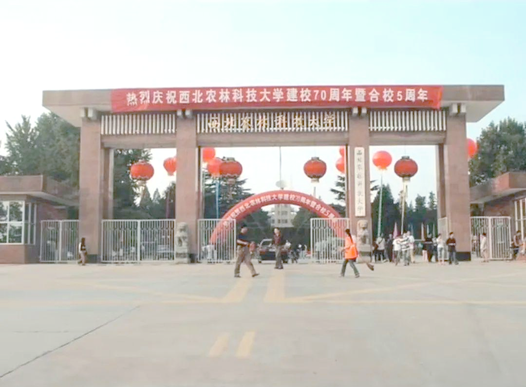 西北农林科技大学在哪个城市