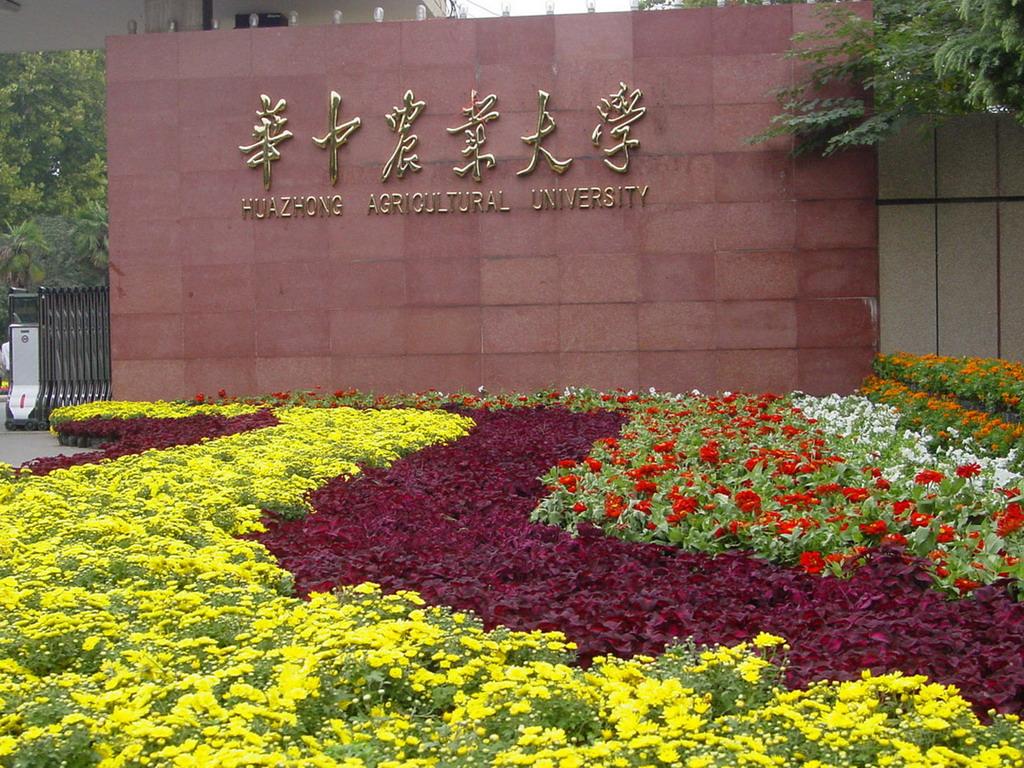 华中农业大学全国排名