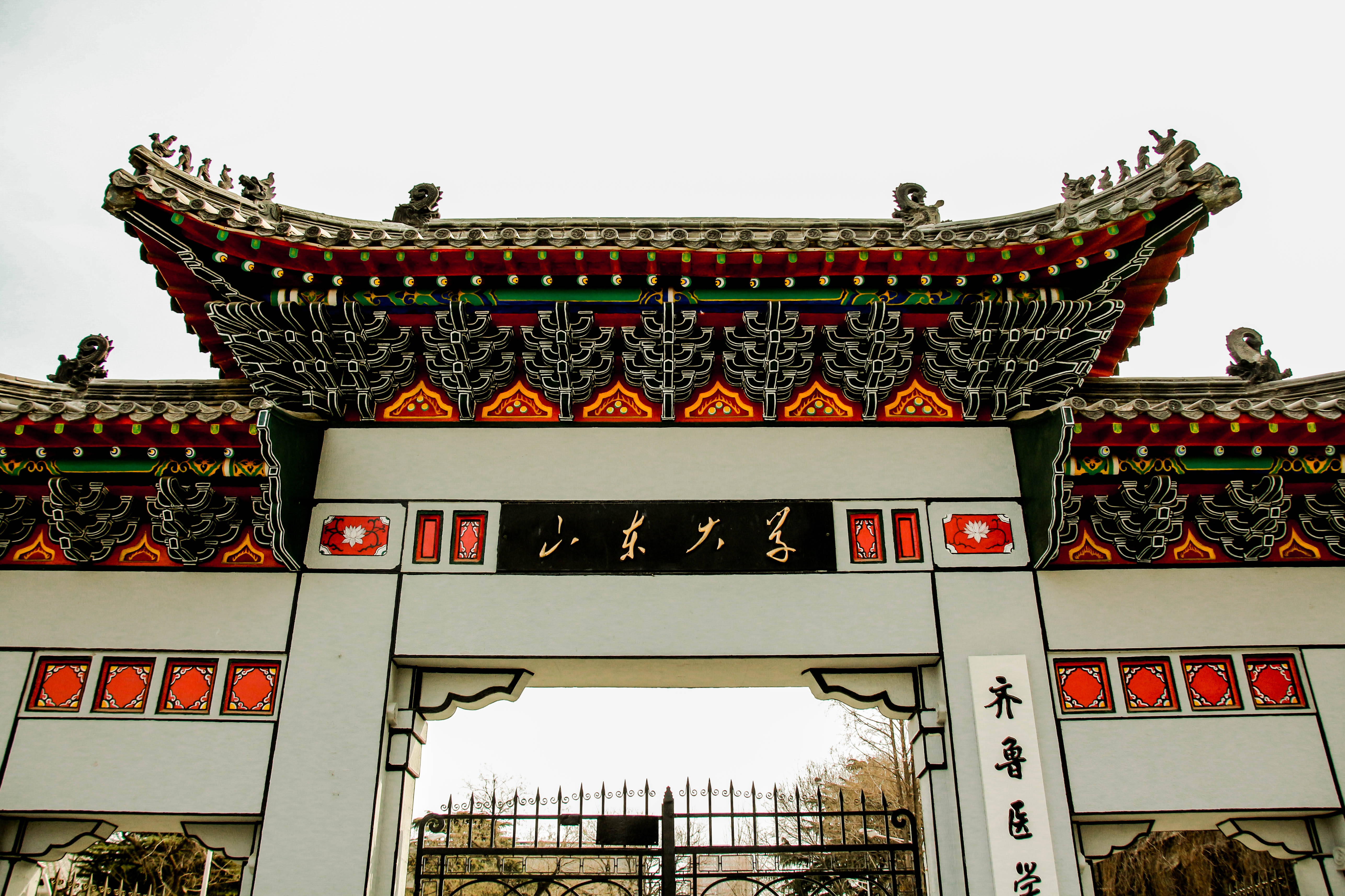 山东大学本科生院